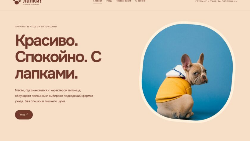 Сайт «лапки! — дизайн сайта»