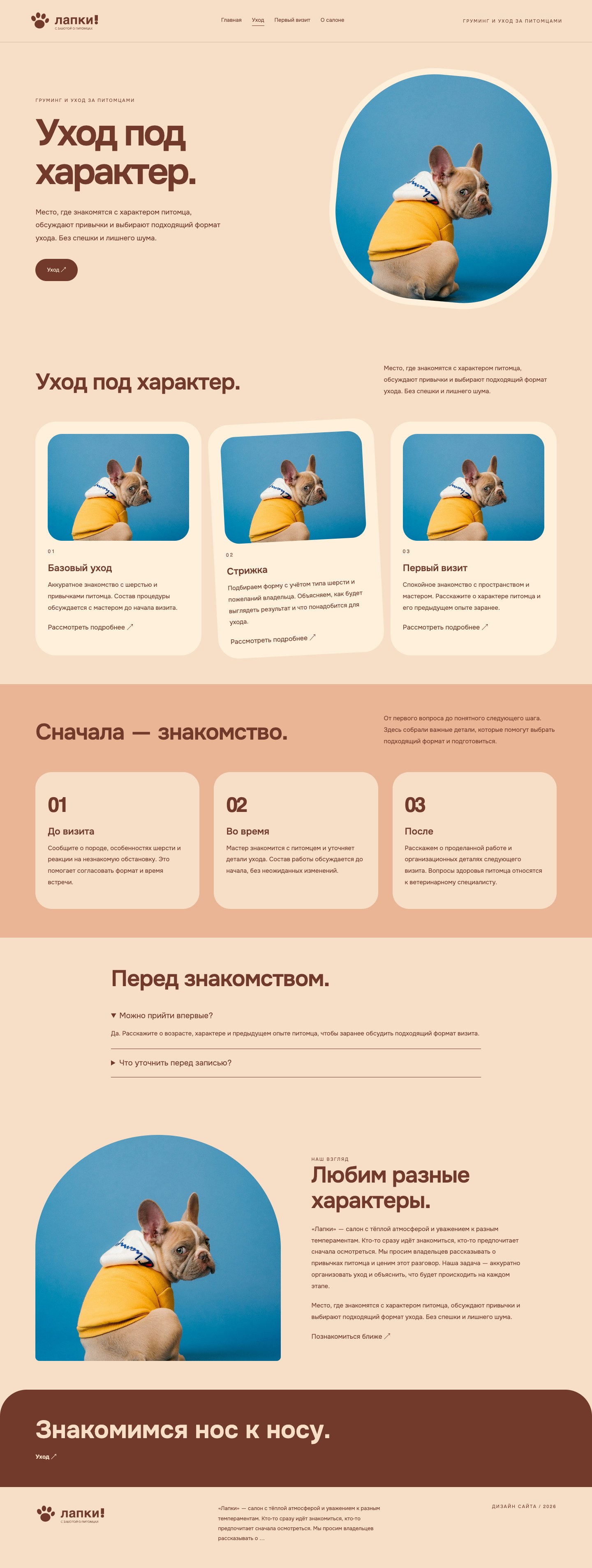 Сайт «лапки! — дизайн сайта» — Уход