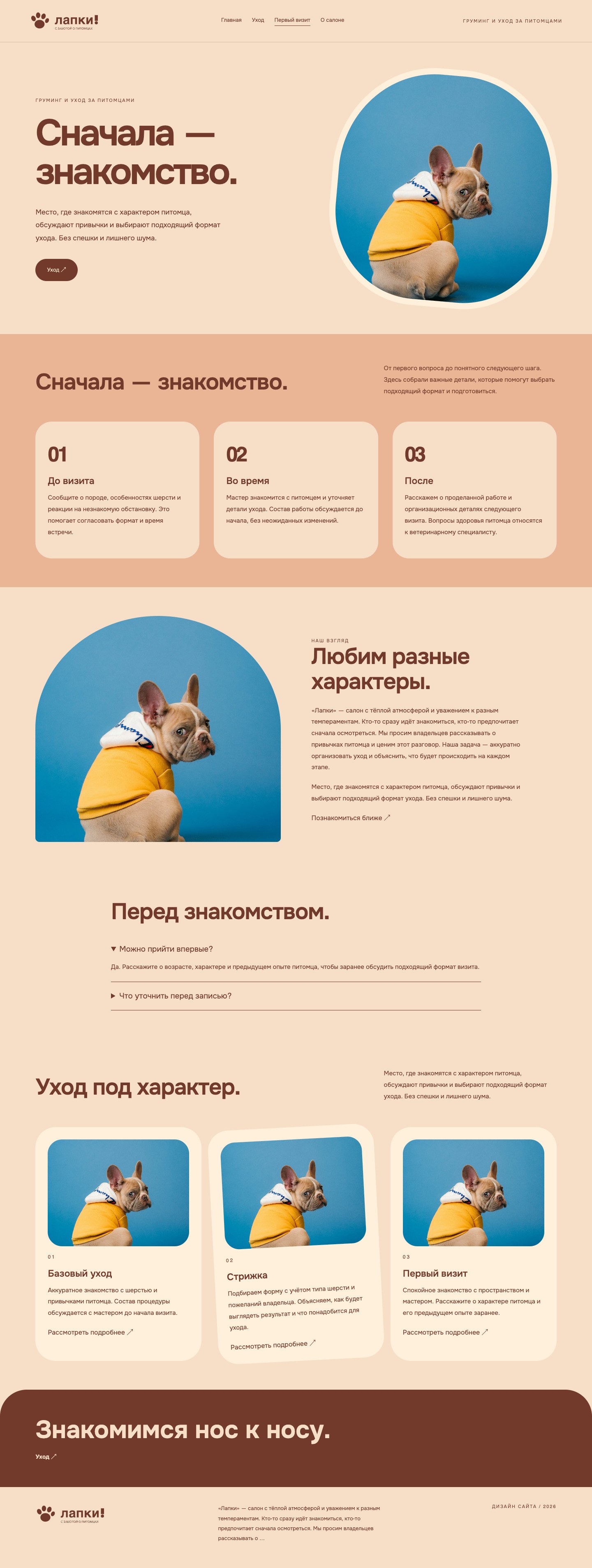 Сайт «лапки! — дизайн сайта» — Первый визит